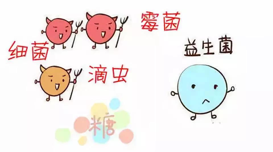 西安婦科凝膠廠家