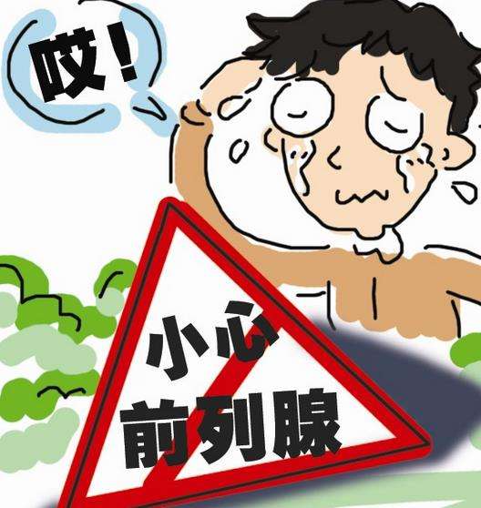 前列腺凝膠廠家