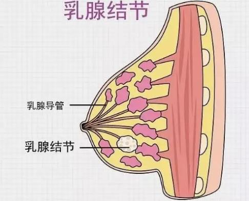 乳腺膏定制廠家