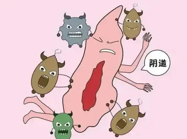 婦科凝膠oem廠家